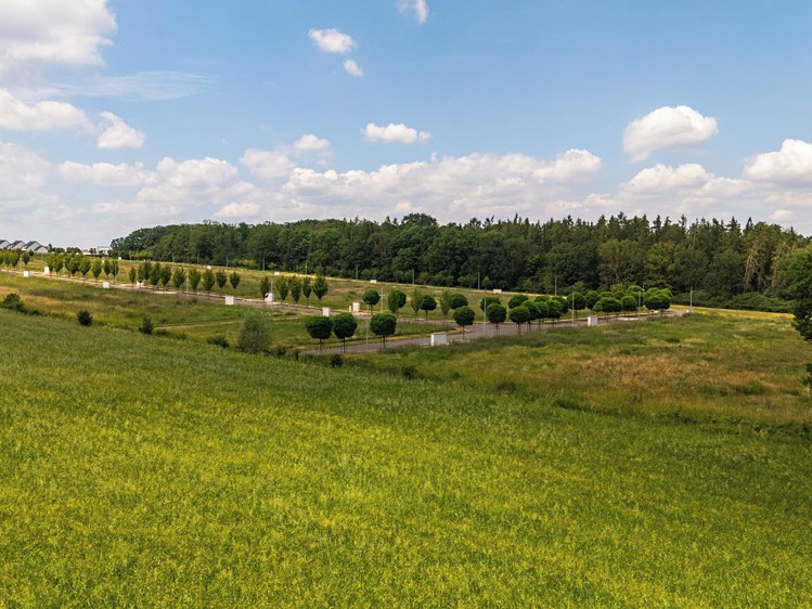 Ділянка на продаж, 1 178 м² (8 з 10)