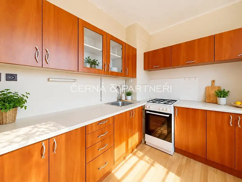 Pronájem bytu 1+1 33 m², Bílina – náhled fotky 1