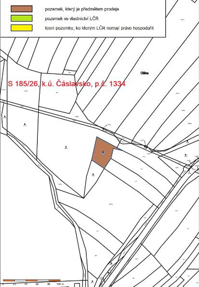 Prodej lesa 1359 m² – fotografie 3