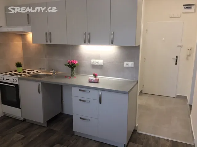 Pronájem bytu 1+1 36 m² – pohled 2