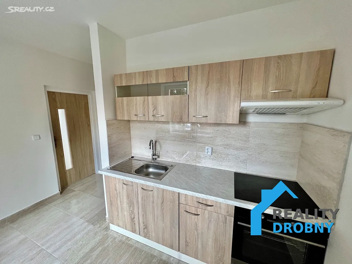 Pronájem bytu 1+1 42 m² – pohled 3