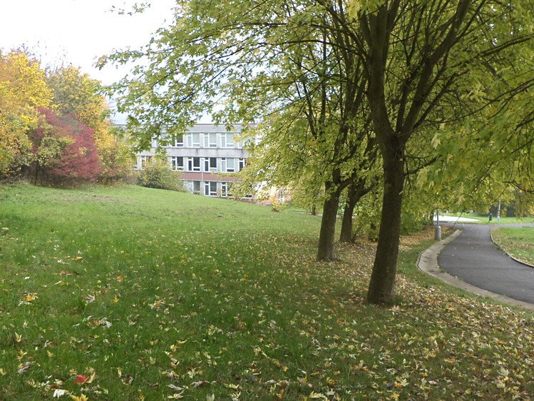 Grundstück zum Kauf, 1.044 m² (2 von 5)
