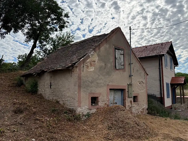 Prodej vinného sklepa 136 m², Novosedly – náhled fotky 3