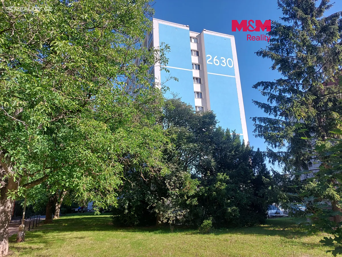 Pronájem bytu 1+1 46 m², Mělník