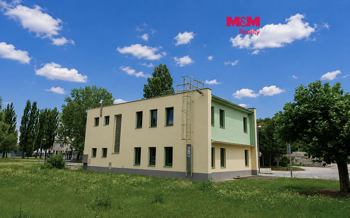 Pronájem kanceláře 200 m²