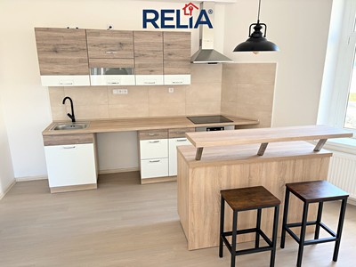 Pronájem bytu 1+kk 47 m²