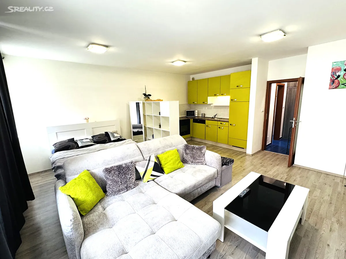 Pronájem bytu 1+kk 49 m², Praha