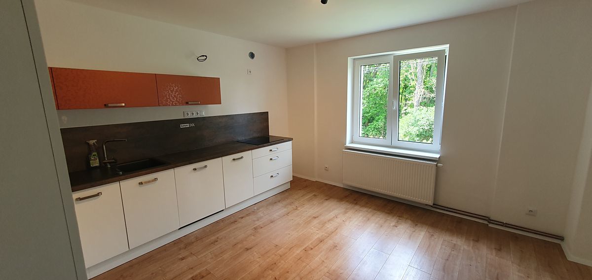 Pronájem rodinného domu 150 m², pozemek 501 m² – fotografie 3