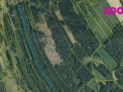Prodej  lesa 4 056 m²