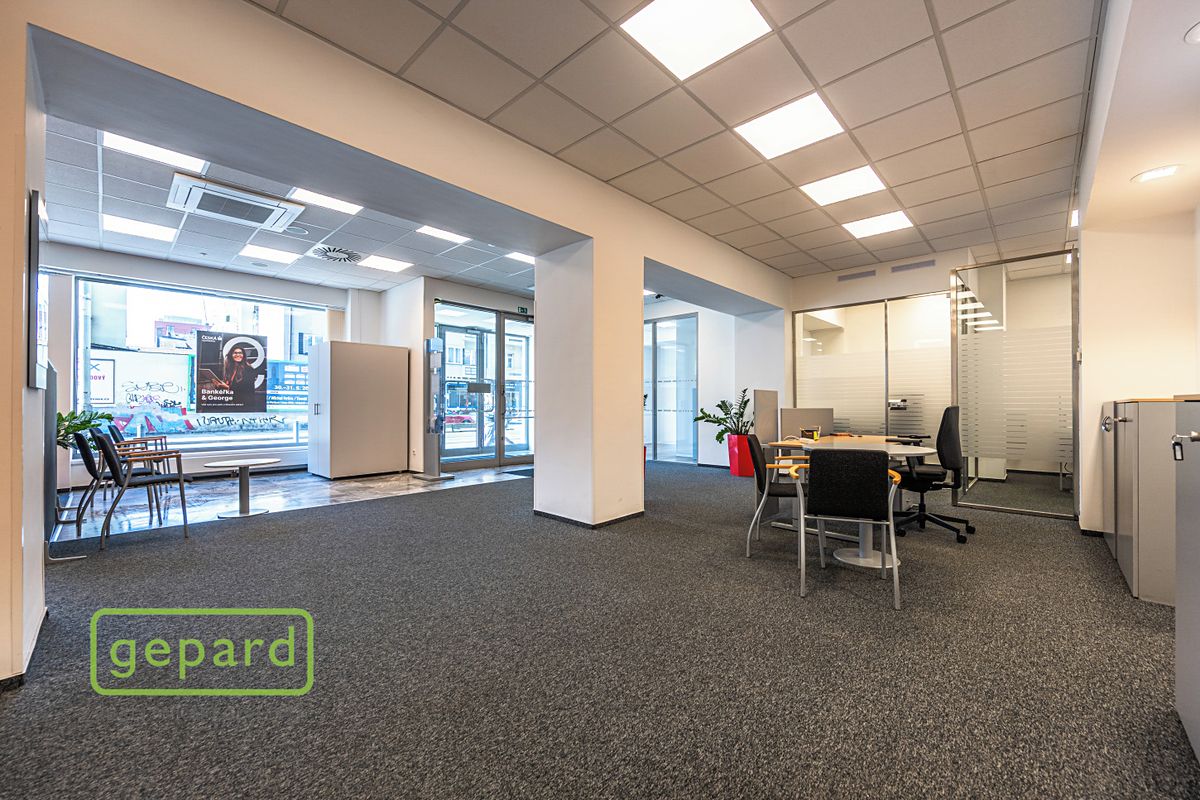 Pronájem obchodního prostoru 252 m² – fotografie 5