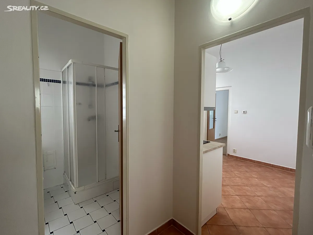 Pronájem bytu 1+1 32 m² - Widok 5