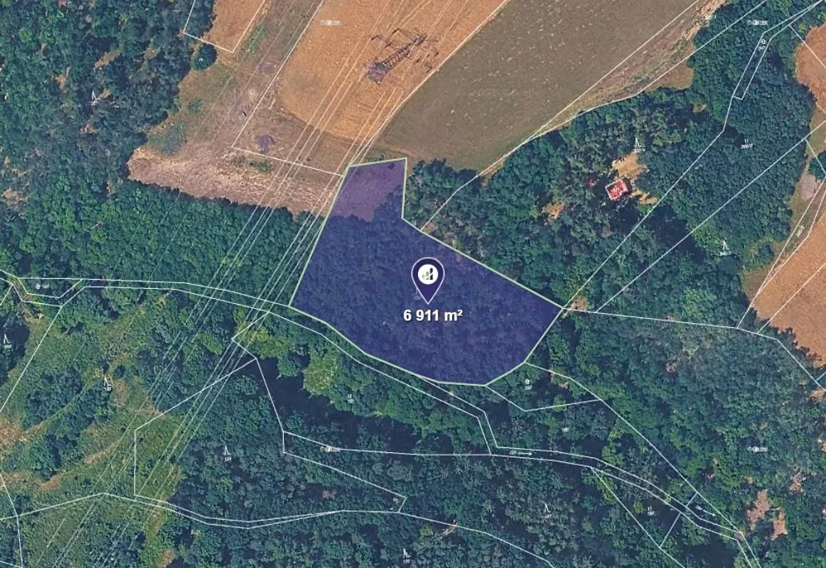 Prodej lesa 6911 m²