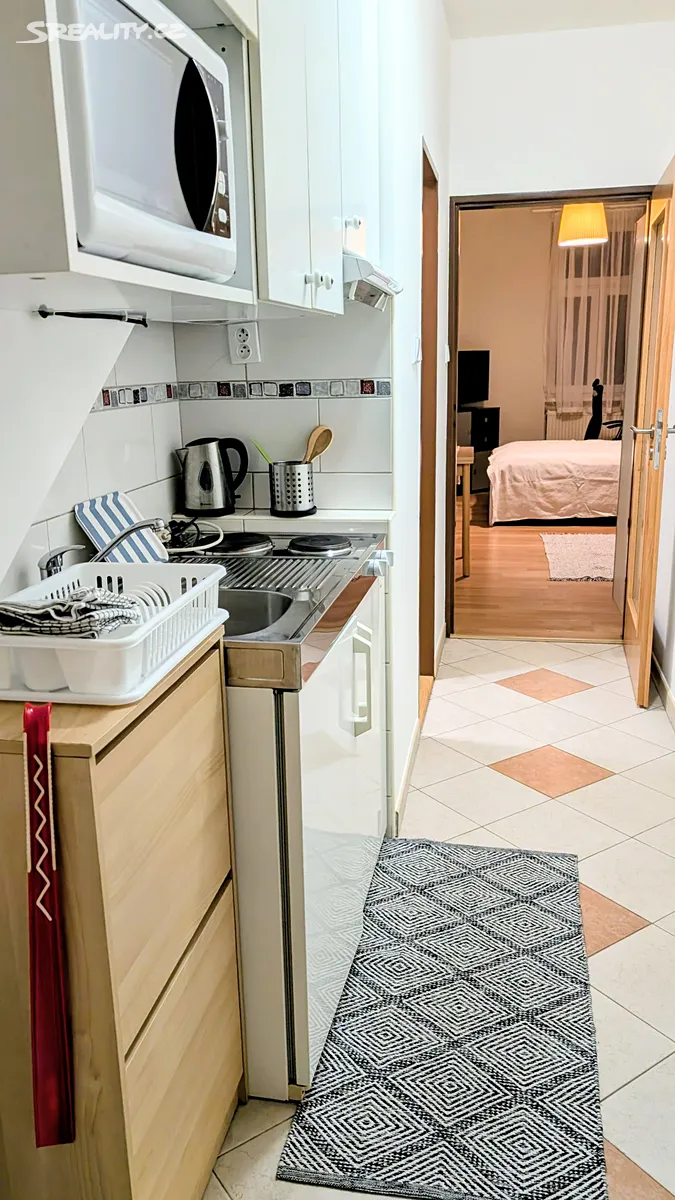 Pronájem bytu 1+kk 28 m² – pohled 4