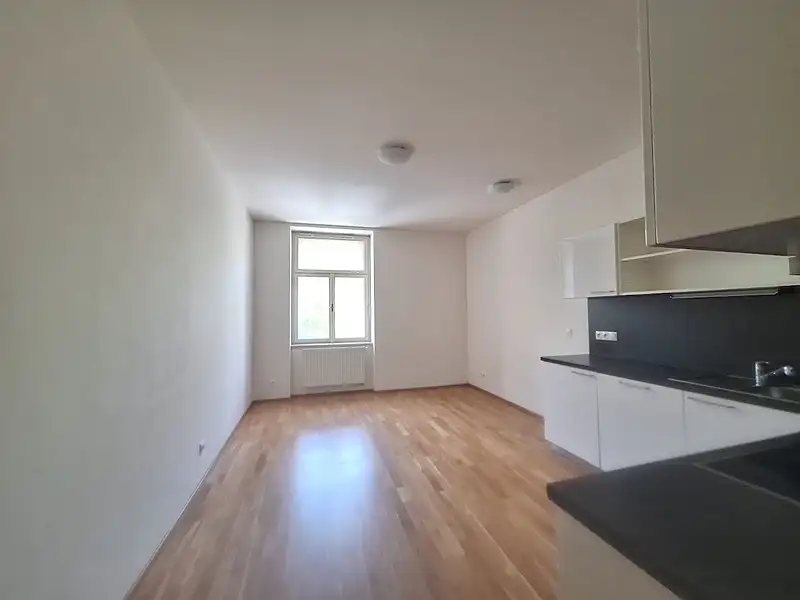 Pronájem bytu 2+kk 48 m², Praha – náhled fotky 2