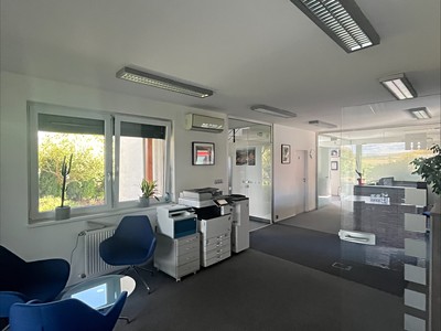 Prodej domu, 565 m² (3 z 6)