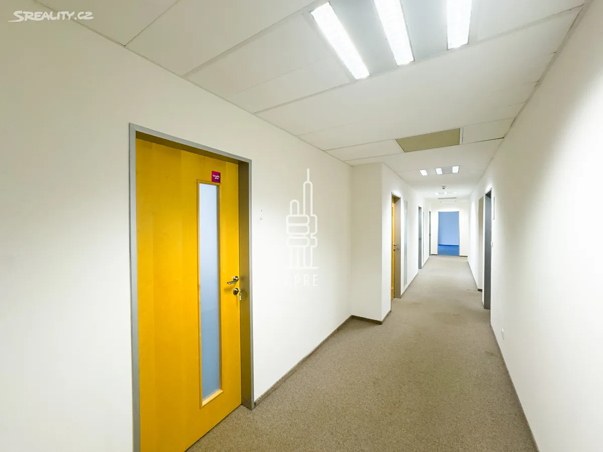 Pronájem kanceláře 235 m² - Więcej