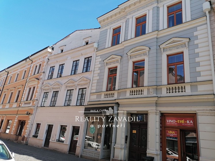 Prodej komerčního prostoru, 450 m² (2 z 19)