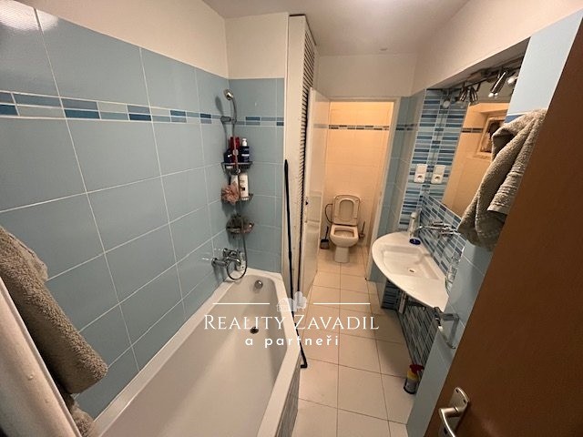 Prodej komerčního prostoru, 450 m² (11 z 19)