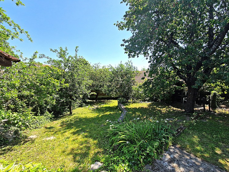 Ostatní