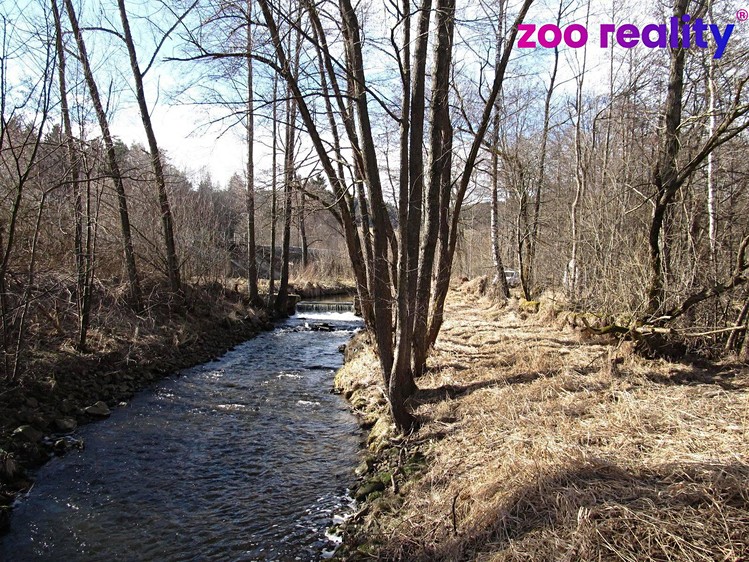 Grundstück zum Kauf, 7.754 m² (4 von 4)