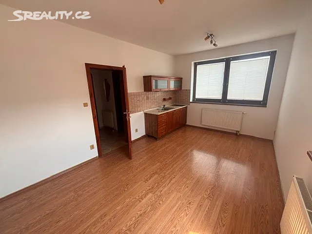 Pronájem bytu 1+kk 25 m²