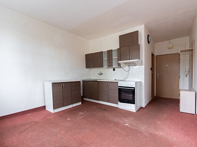 Prodej bytu 1+1, 35 m² (3 z 35)
