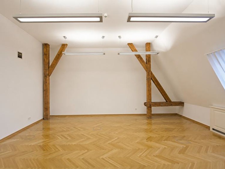 Pronájem komerčního prostoru, 465 m² (8 z 9)