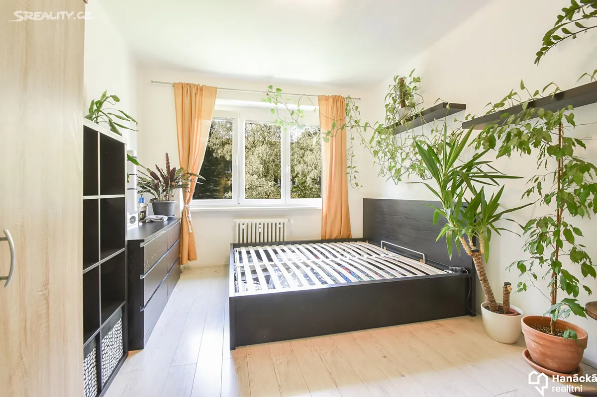 Pronájem bytu 2+1 53 m² - Widok 3