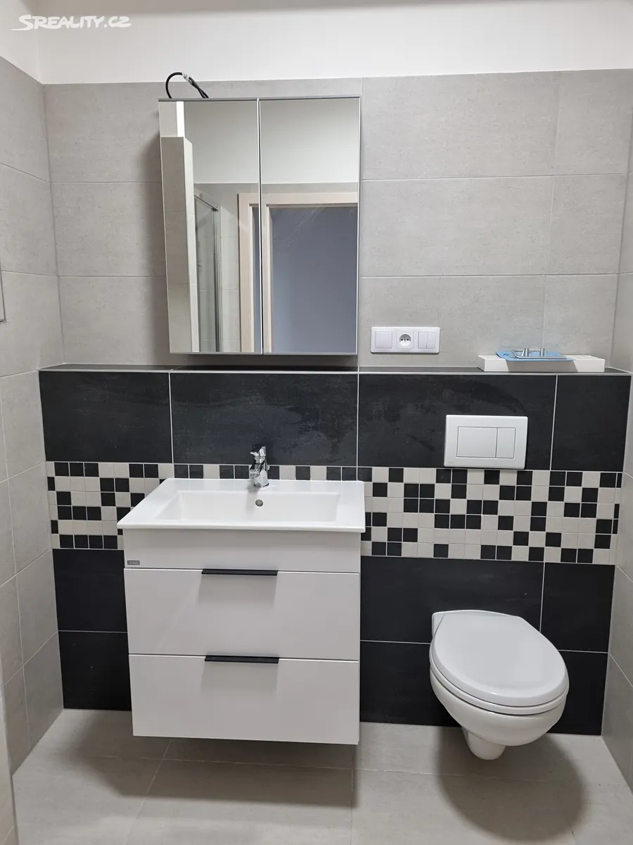 Pronájem bytu 1+kk 40 m² - Widok 5