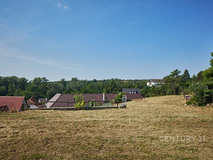 Ostatní