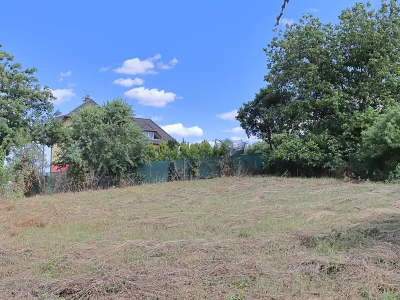 Prodej stavebního pozemku 2358 m², Lešany – náhled fotky 3