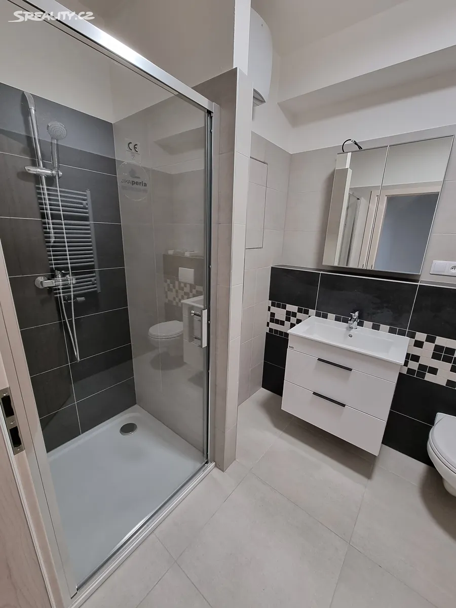 Pronájem bytu 1+kk 40 m² - Widok 4