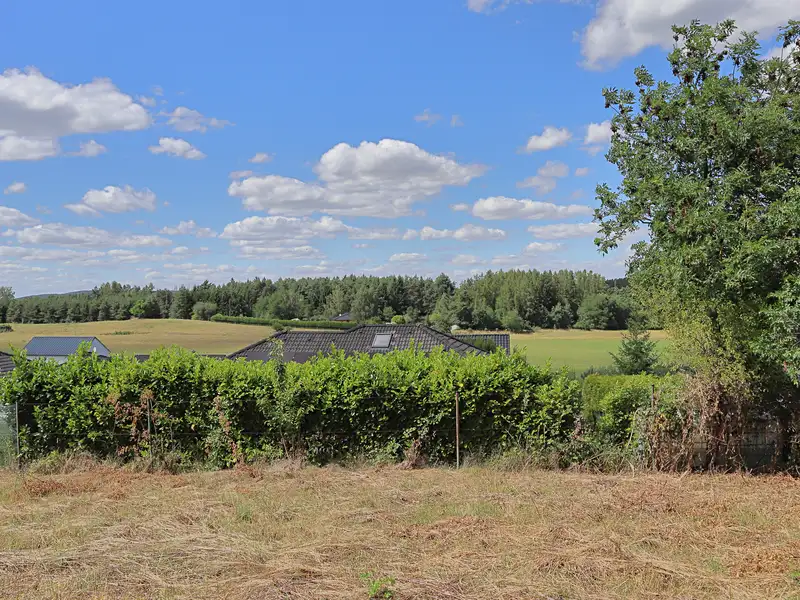 Prodej stavebního pozemku 2358 m², Lešany – náhled fotky 1