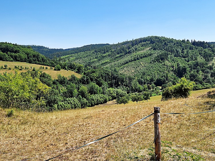 Ostatní