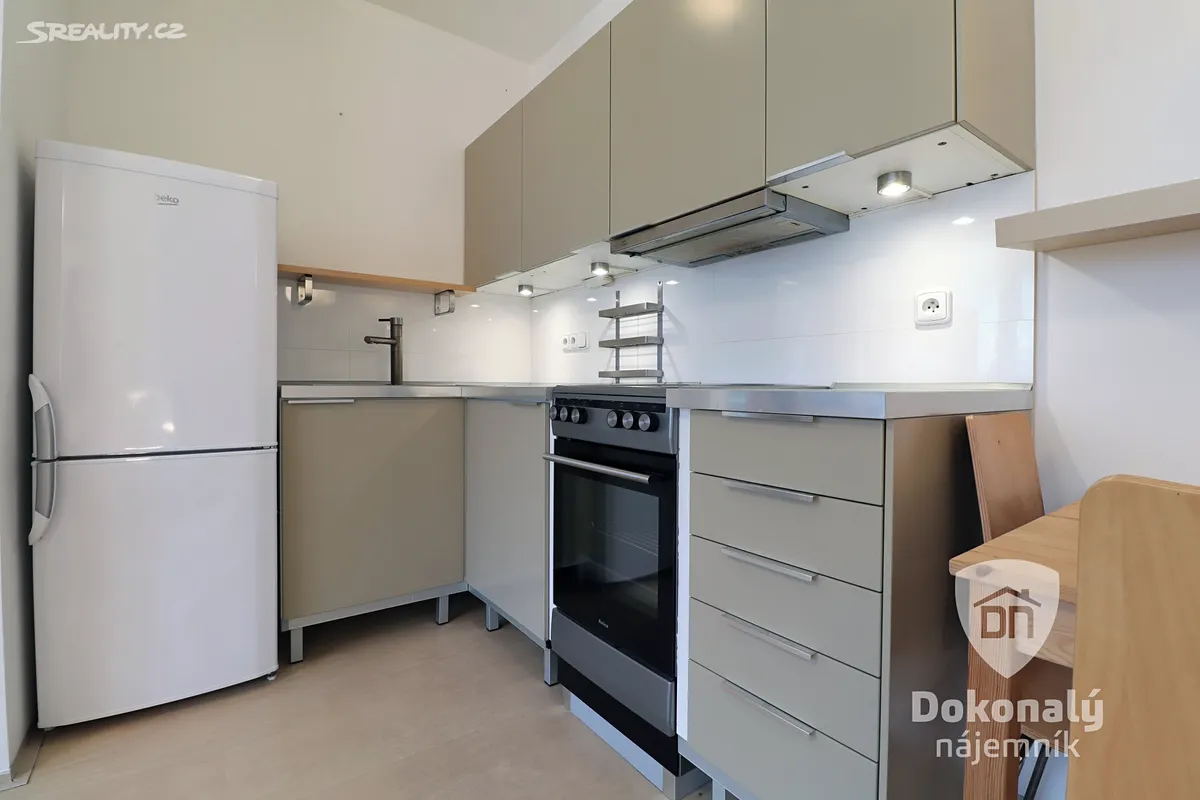 Pronájem bytu 1+kk 40 m² – pohled 3