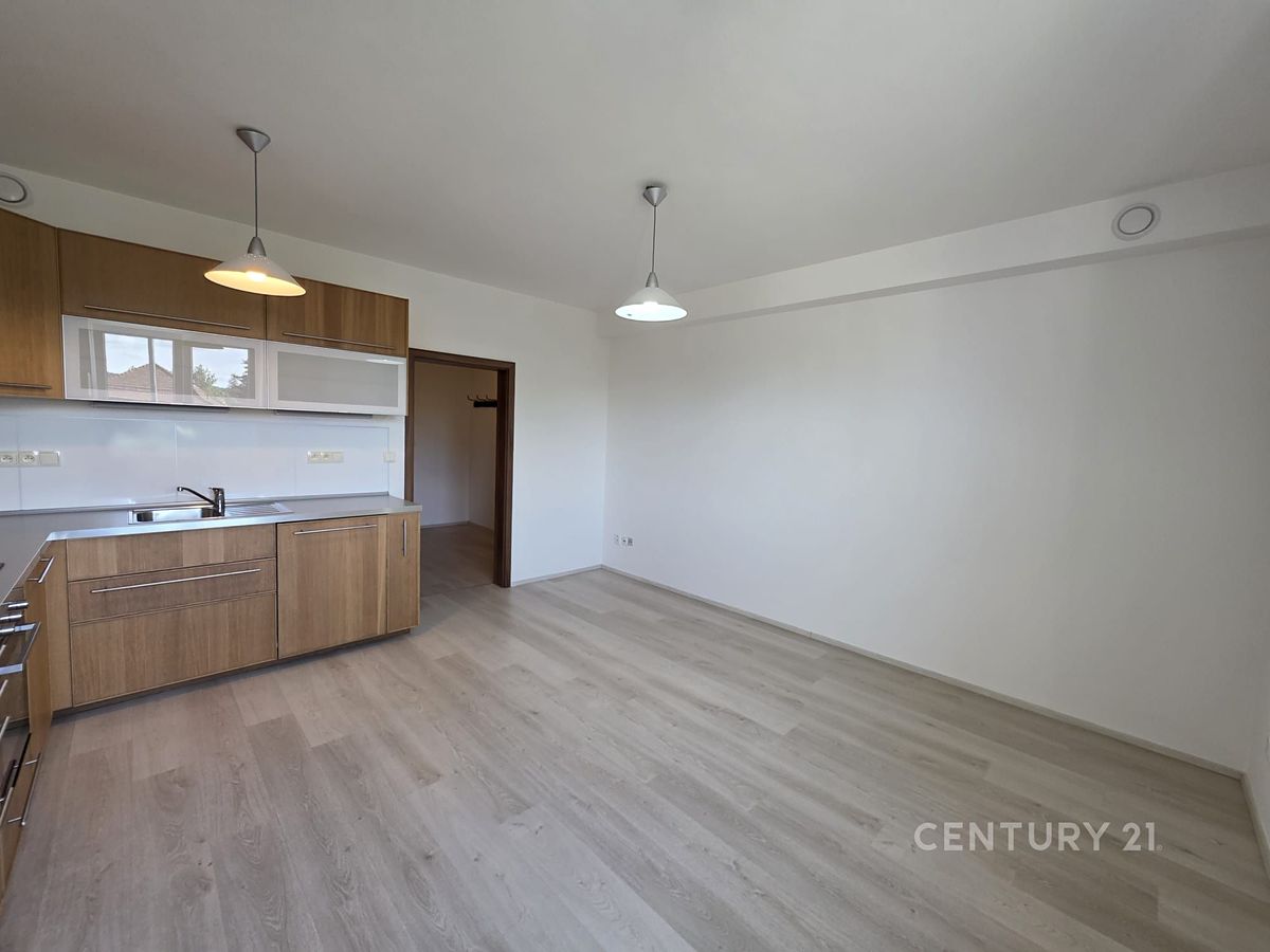 Pronájem bytu 2+kk 58 m² – fotografie 4