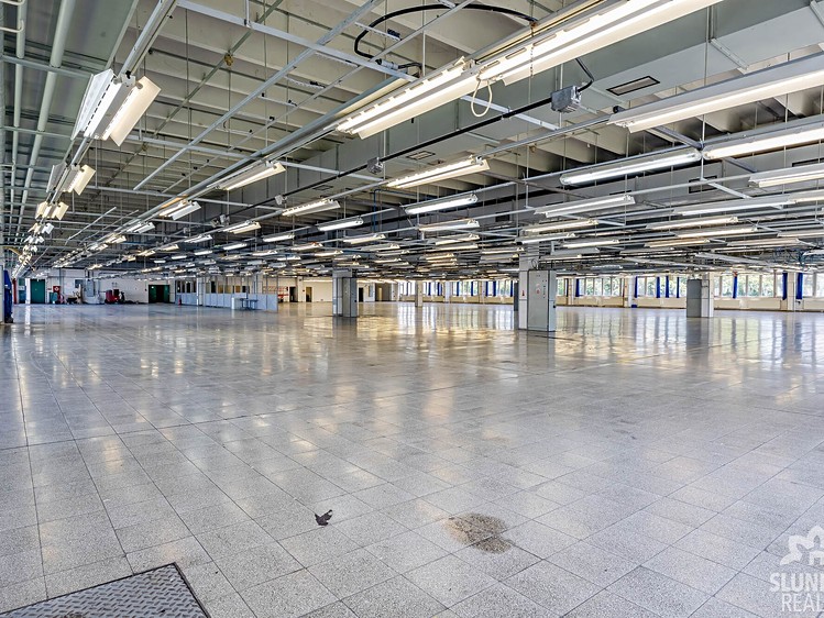 Комерційне приміщення в оренду, 8 000 м² (9 з 41)