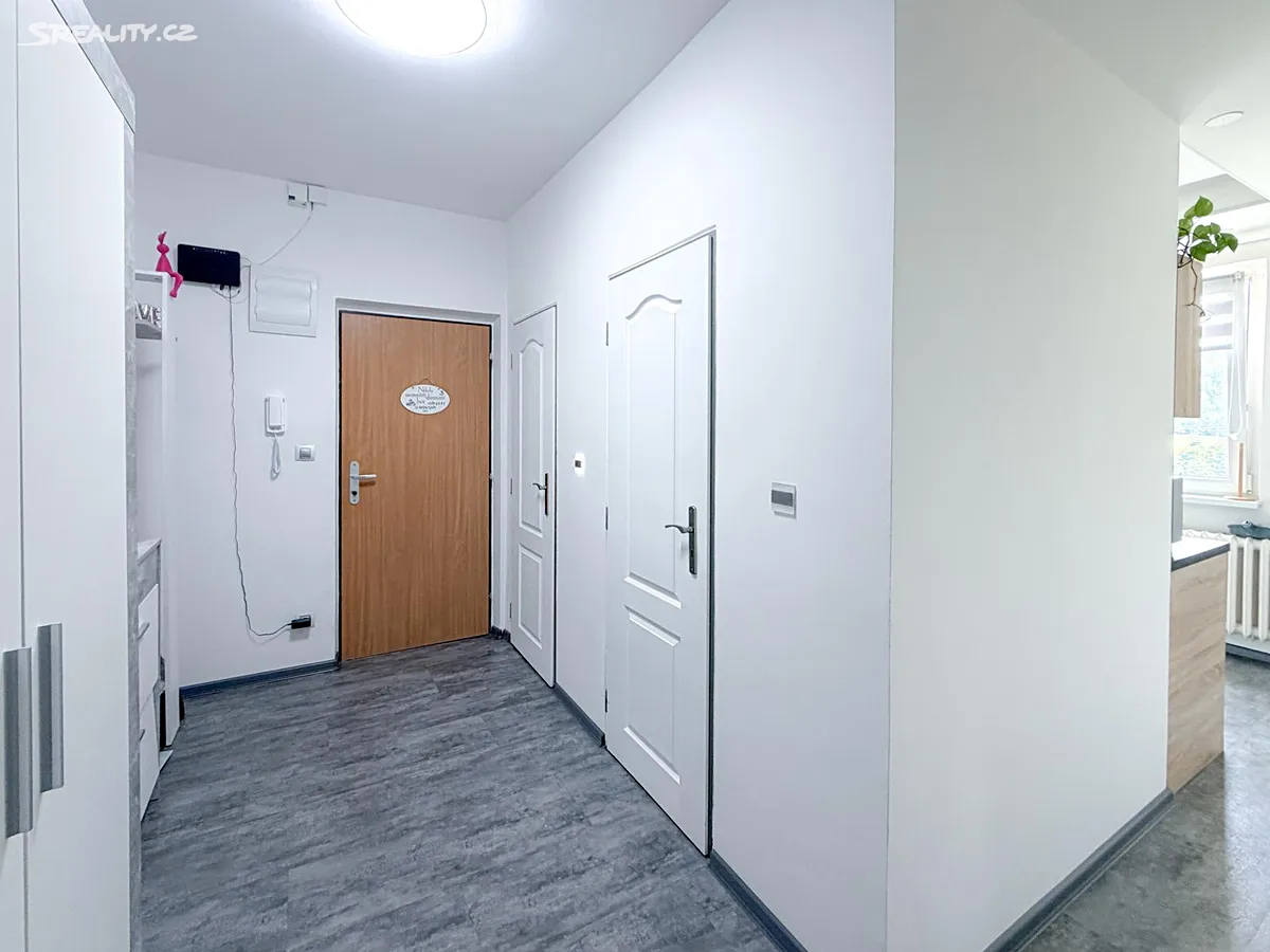 Pronájem bytu 2+1 54 m², Nejdek