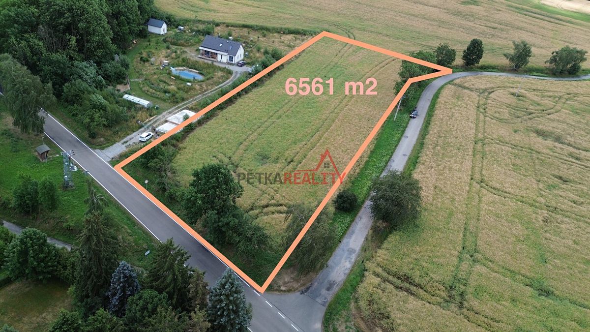 Prodej stavebního pozemku 6561 m², Neustupov – fotka 1 z 3