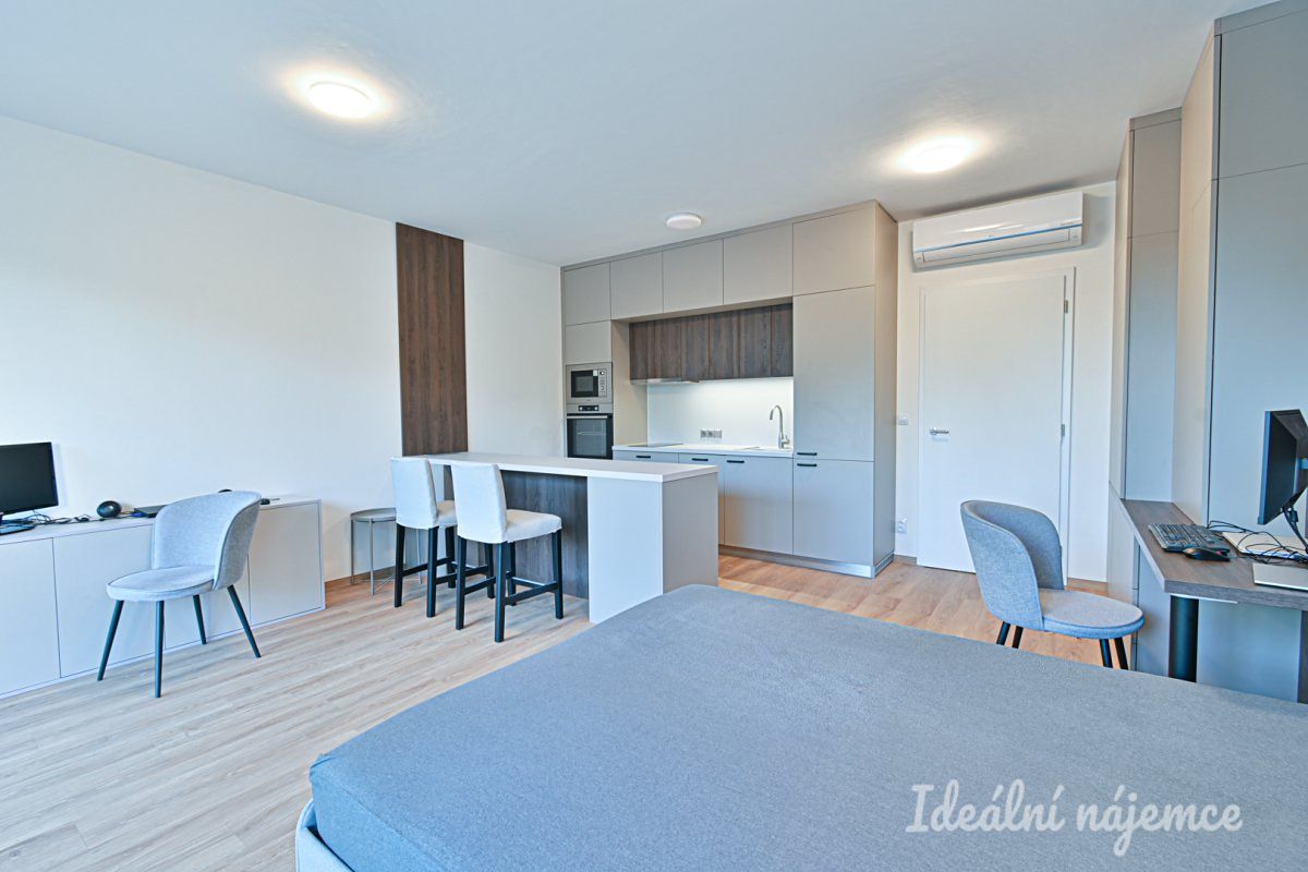 Pronájem bytu 1+kk 46 m²