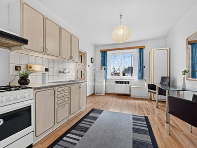 Pronájem bytu 1+1 48 m²
