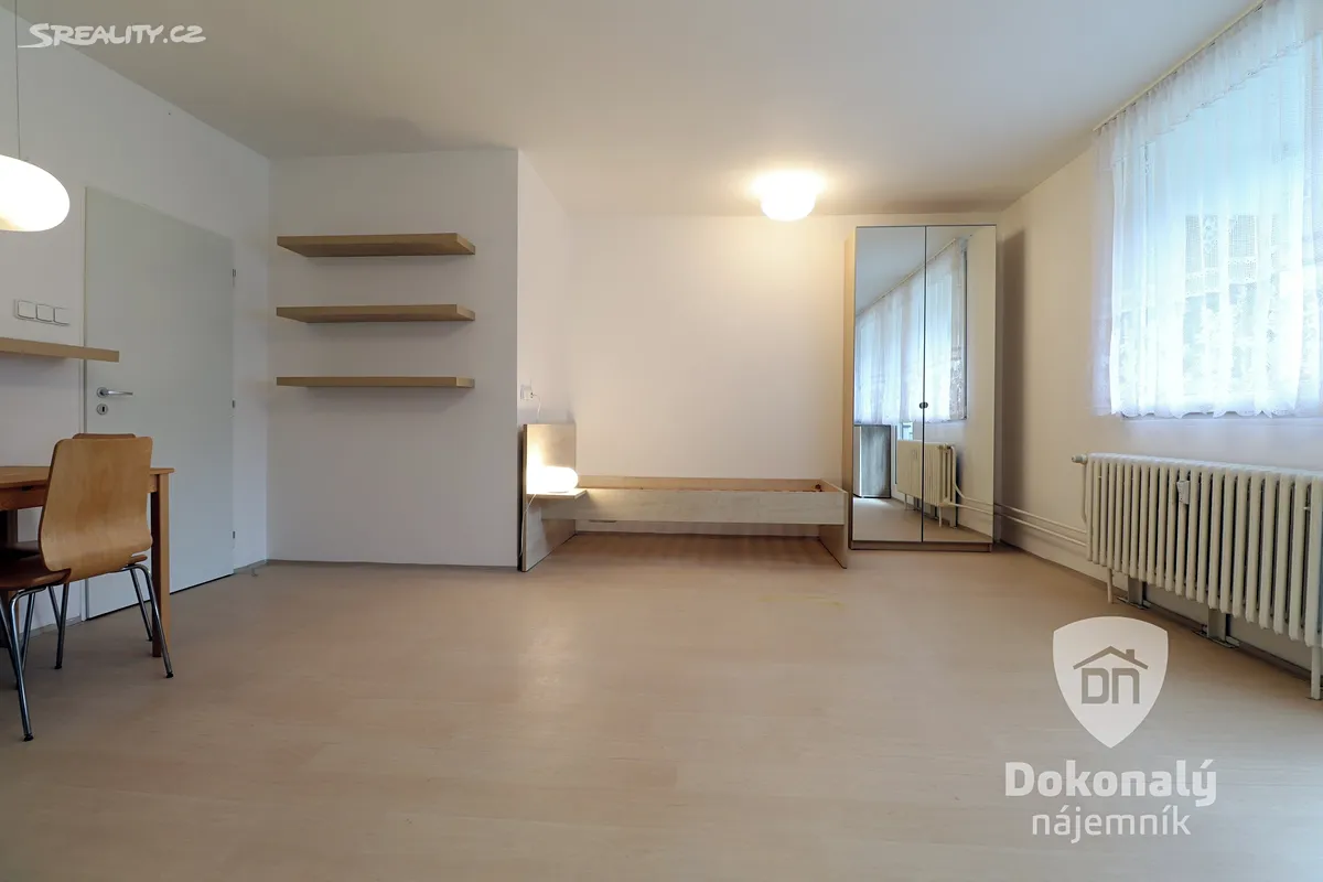 Pronájem bytu 1+kk 40 m² – pohled 5