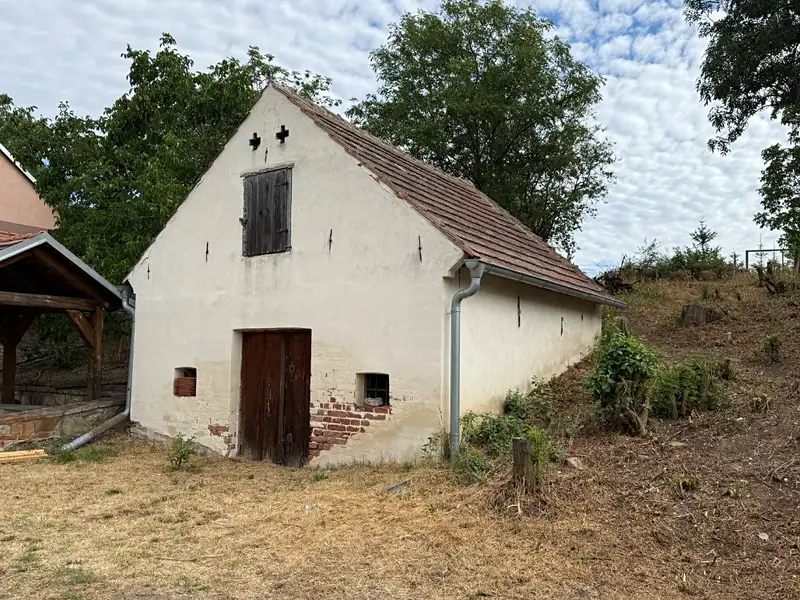 Prodej vinného sklepa 136 m², Novosedly – náhled fotky 2