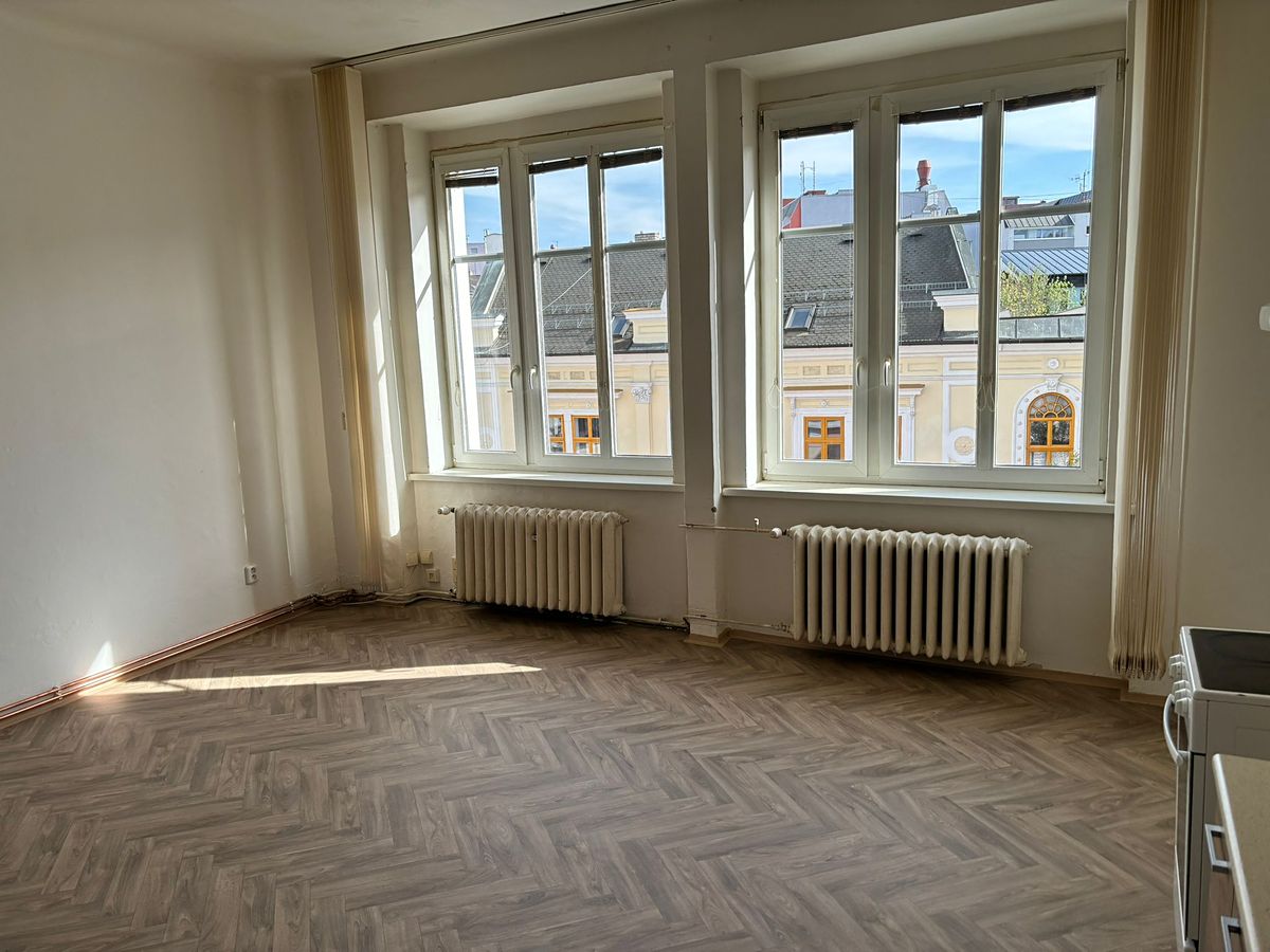 Pronájem bytu 1+1 66 m² – fotografie 3