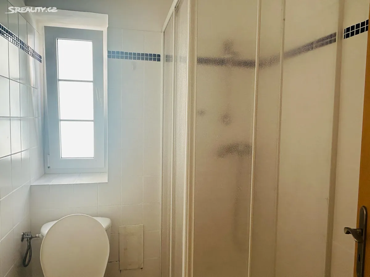 Pronájem bytu 1+1 32 m² - Widok 6