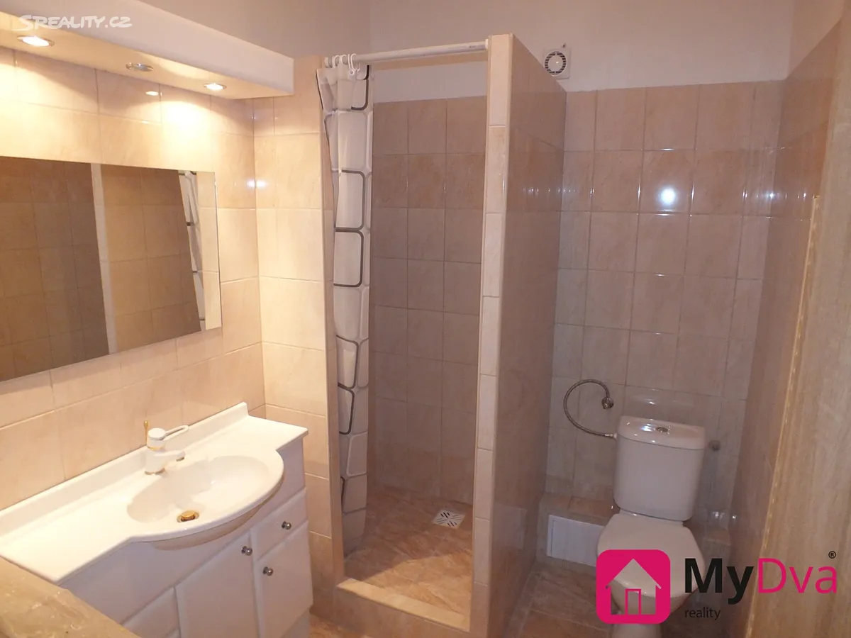 Pronájem bytu 1+1 38 m² – pohled 4