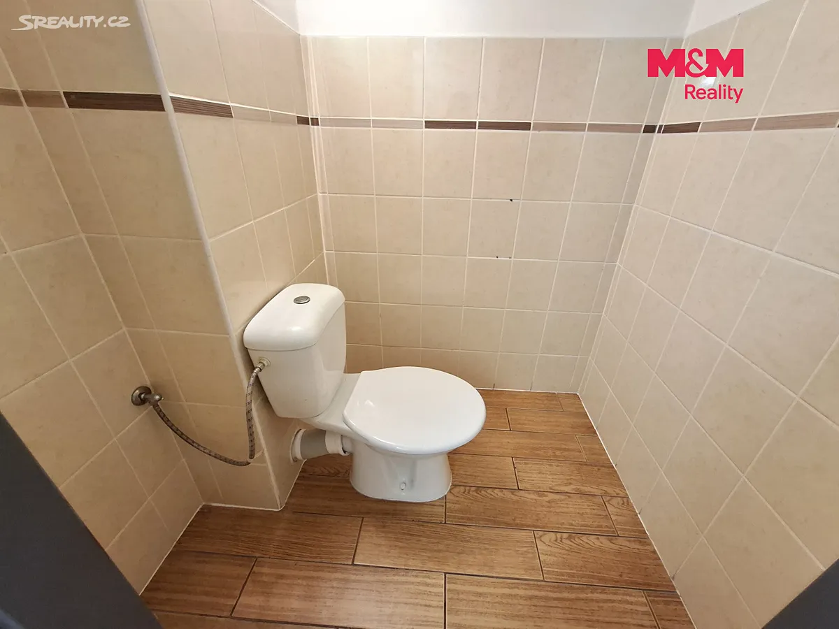 Pronájem obchodního prostoru 120 m² – další