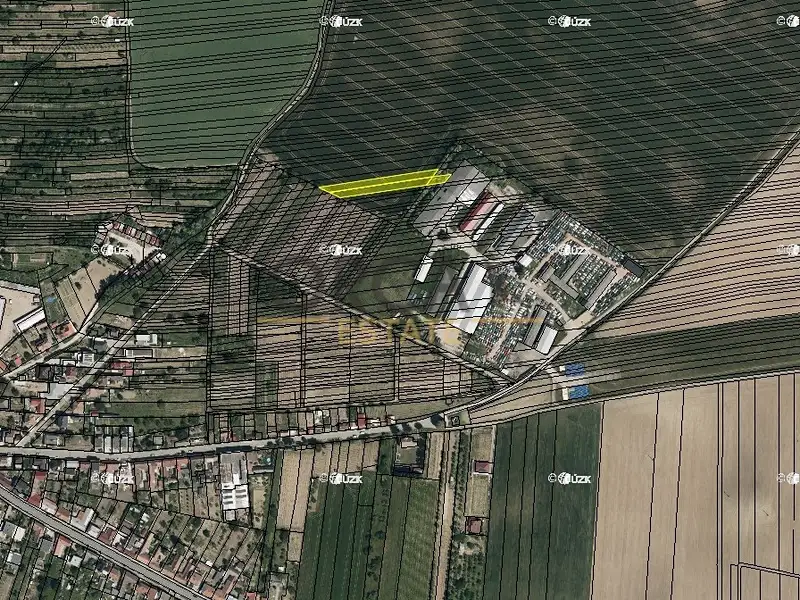 Prodej pole 1956 m², Vracov – náhled fotky 2