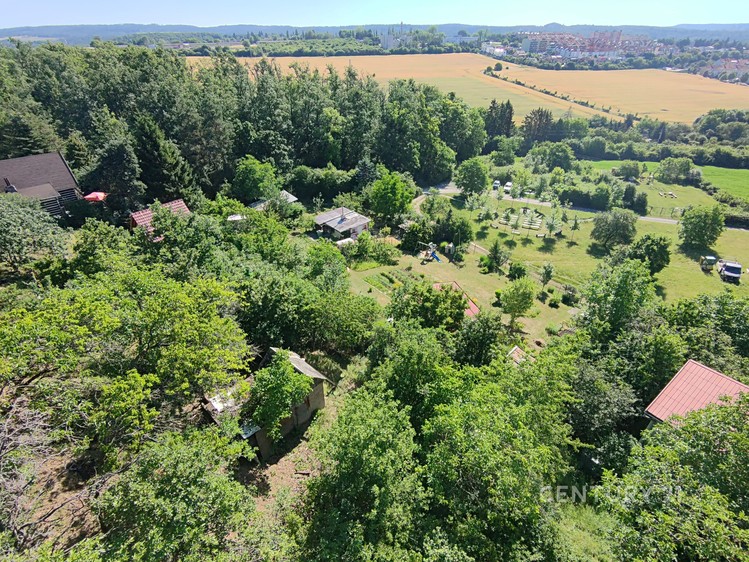 Ostatní