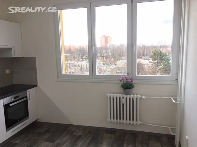 Pronájem bytu 1+1 36 m² - Widok 4